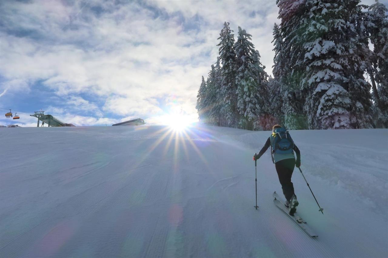 Mountain-Apart Simonhof Lejlighed Maria Alm am Steinernen Meer Eksteriør billede